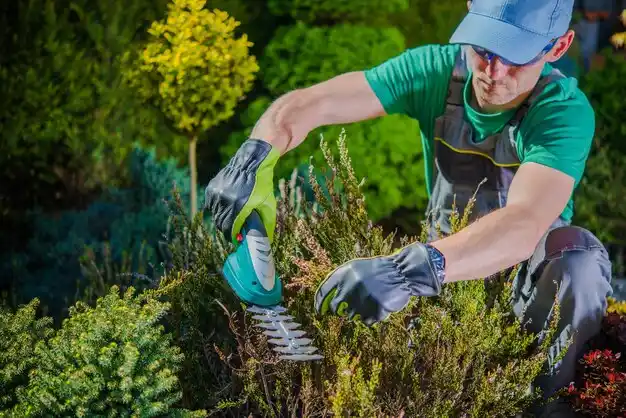 landscaping services West Haverstraw